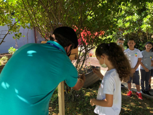 Notícia - Criciúma: Alunos da Escola S conhecem projeto pioneiro de abelhas sem ferrão