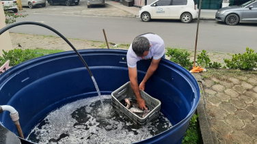 Notícia - Feira do Peixe Vivo desta semana acontece sexta e sábado