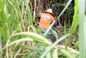 Notícia - Programa Criciúma Cidade Limpa realizou a limpeza de 20 terrenos