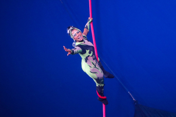 Notícia - Primeiro circo aquático do Brasil estreia no Criciúma Shopping