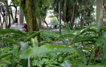 Notícia - Semana do Meio Ambiente começa neste domingo em Criciúma