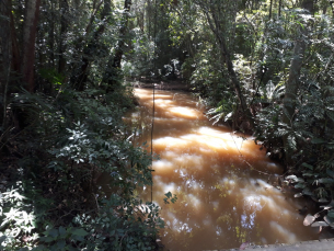 Notícia - Criciúma: Diretoria de Meio Ambiente atualiza mapeamento de nascentes do município  