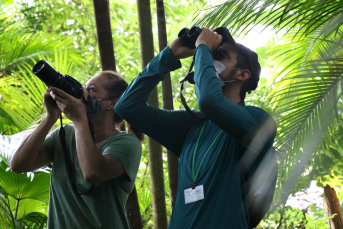 Notícia - Nova Veneza recebe evento de observação de aves