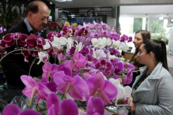 Notícia - Unesc ainda mais colorida com a realização da ação Primavera e Paz