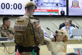 Notícia - Legislativo de Criciúma define encaminhamentos em prol da causa animal 