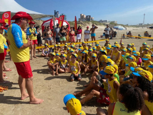 Notícia - Projeto Golfinho inicia nas praias do Sul Catarinense