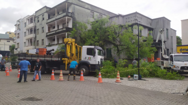 Notícia - Equipes removem árvore caída na praça Nereu Ramos, em Criciúma