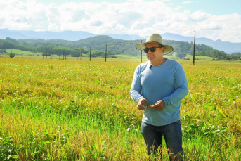 Notícia - De janeiro a janeiro: parceria entre agricultores e indústrias de arroz é imprescindível o ano todo