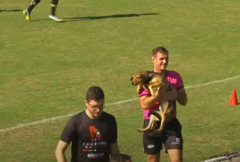 Notícia - Cachorro invade partida do Criciúma na Copa Criciúma Sub-17 (FOTOS E VÍDEO)