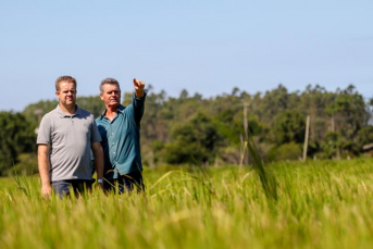 Notícia - R$ 8,2 bilhões em crédito rural no primeiro quadrimestre de 2019