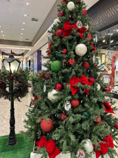 Notícia - Árvore Solidária do Nações Shopping arrecada doações para pets