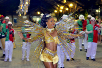 Notícia - Veja como foi o Carnaval na região