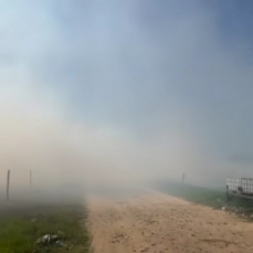 Notícia - [Vídeo] Incêndio de grandes proporções atinge vegetação em Jaguaruna