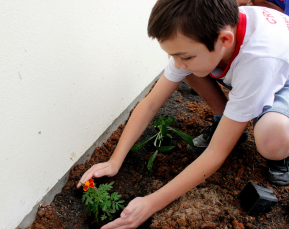 Notícia - Semana do Meio Ambiente inicia nesta terça-feira em Criciúma