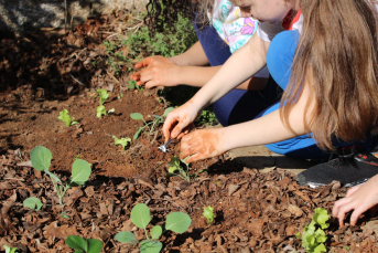 Notícia - Estudantes da rede municipal de Criciúma cultivam hortas em busca de um futuro mais sustentável