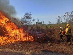 Notícia - Bombeiros de Criciúma auxiliarão no combate aos incêndios no Mato Grosso do Sul