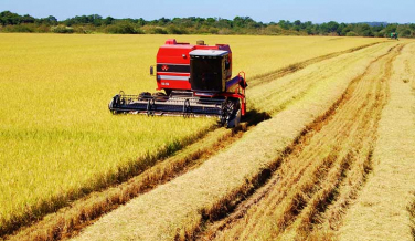 Notícia - Sensores de volume e CO2 são novidades no armazenamento de grãos