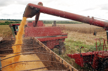 Notícia - Produção agropecuária do Brasil alimenta 1 bilhão de pessoas no mundo