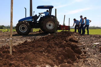 Notícia - Cooperja investe em arborização de seu Campo Demonstrativo