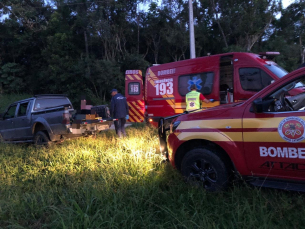 Notícia - Idoso fratura a perna após cair de árvore em Urussanga