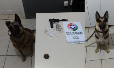 Notícia - PM apreende crack e arma com auxílio de cães