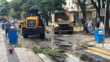 Notícia - Revitalização do calçadão: Prefeitura de Araranguá inicia corte de árvores