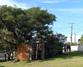 Notícia - Sem freio, caminhão sai da pista e tomba em Cocal do Sul (VÍDEOS)