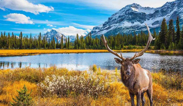 Notícia - 7 curiosidades sobre o Canada