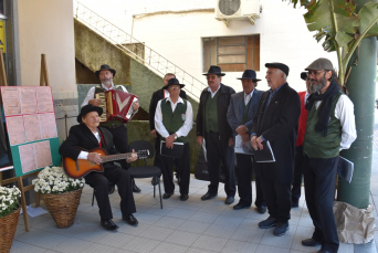 Notícia - Siderópolis: 131 anos de imigração italiana terá cantoria típica neste sábado 