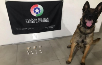 Notícia - Com ajuda do cão policial, PM apreende cocaína e crack em Araranguá