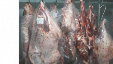 Notícia - Mais de uma tonelada de carnes é apreendida em comércios de Capivari de Baixo