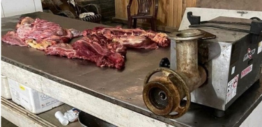 Notícia - Iniciada terceira fase da operação que investiga venda de carne de cavalo para consumo humano