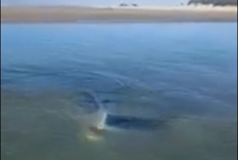 Notícia - Carro amanhece afundado na Barra do Torneiro