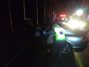 Notícia - Carro bate em árvore. Nenhum ferido