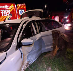 Notícia - Um ferido após bater carro em árvore