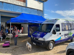 Notícia - Serviço de castração móvel atendeu 33 cães e gatos