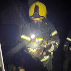 Notícia - Bombeiros combatem incêndio na Casa Guido; duas pessoas e um gato foram resgatados 