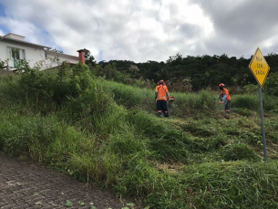 Notícia - Prefeitura limpará terrenos sujos de proprietários 