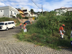 Notícia - Criciúma Limpa: Saiba como denunciar terrenos baldios que precisam de limpeza