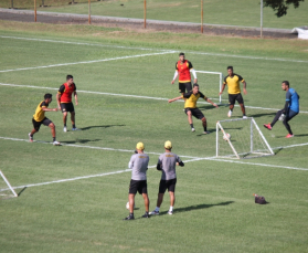 Notícia - Tigre marca jogo treino contra o Grêmio