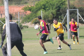 Notícia - Tigre treina na manhã deste sábado no H.H