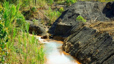 Notícia - Dia da Terra: data clama para que população invista no planeta, preservando a natureza