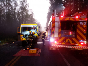 Notícia - Após acidente, trânsito na SC-446 flui em meia pista