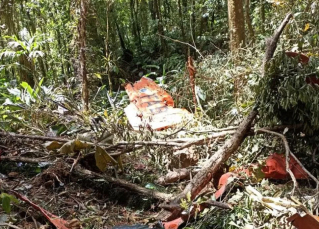 Notícia - Encontrados destroços do avião da FAB que desapareceu em SC