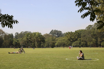 Notícia - Plataformas orientam eleitores e prefeitos sobre agenda ambiental