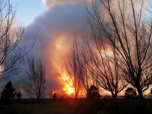 Notícia - Incêndios em vegetação crescem em Criciúma; bombeiros fazem apelo (VÍDEO)