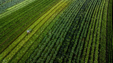 Notícia - Governo do Estado investe R$ 36,9 milhões em apoio ao setor agropecuário catarinense