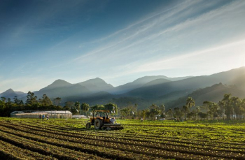 Notícia - Estado investirá R$ 57 milhões em novos projetos de apoio à agricultura e pesca