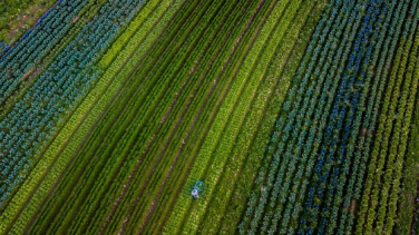 Notícia - Estado investe mais de R$ 330 milhões no fortalecimento do agronegócio em 2021