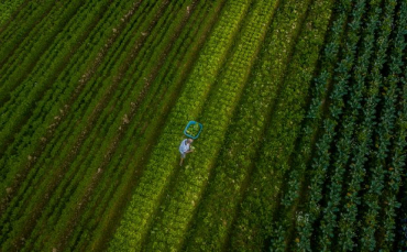 Notícia - Estado alcança o maior valor de produção agropecuária da história